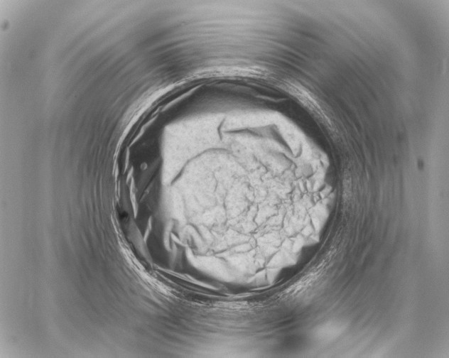 X0000059250844200511041332