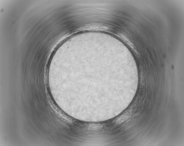 X0000059250848200511041332