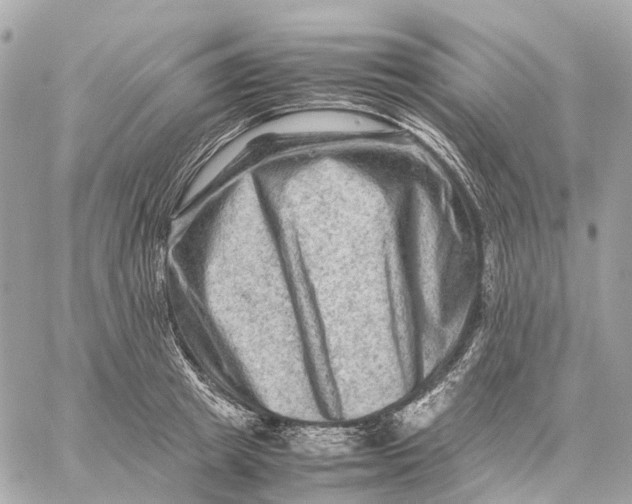 X0000059250849200511041332