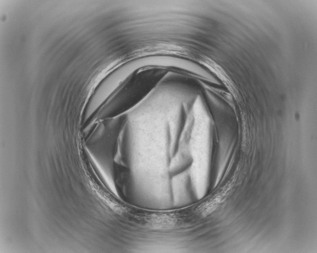 X0000059250850200511041332