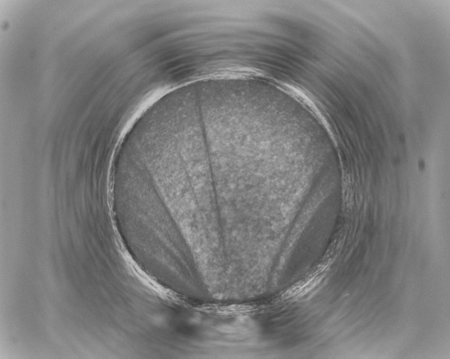 X0000059250851200511041332