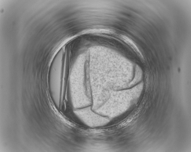 X0000059250852200511041332