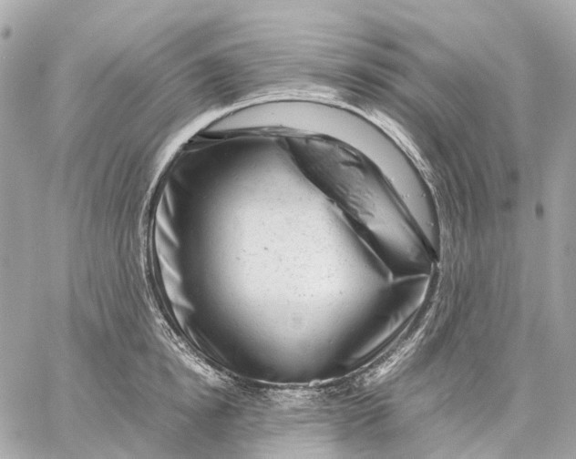 X0000059250854200511041332