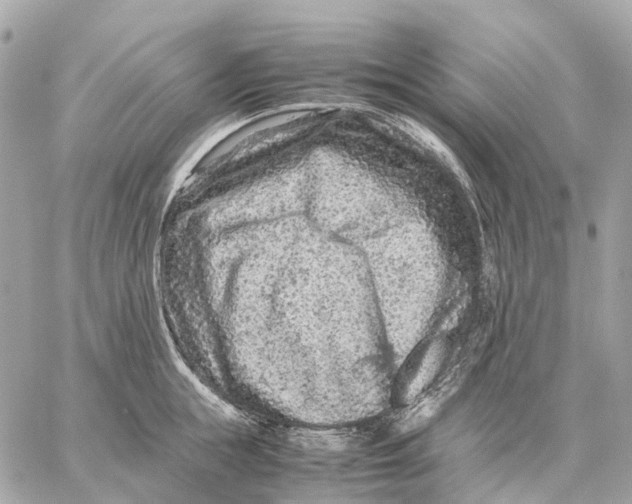 X0000059250855200511041332