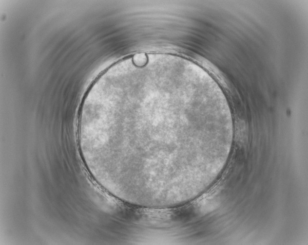 X0000059250856200511041332