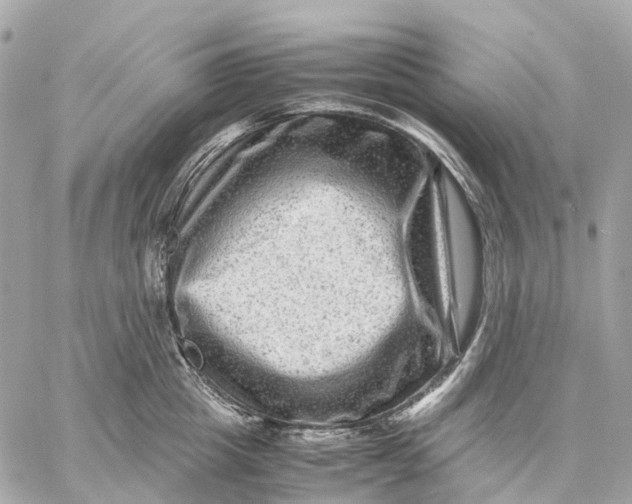 X0000059250857200511041332