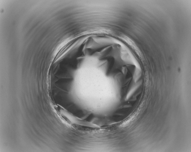 X0000059250858200511041332