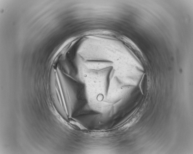 X0000059250860200511041332