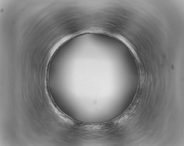 X0000059250861200511041332