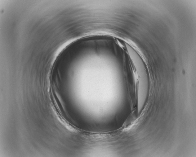 X0000059250862200511041332