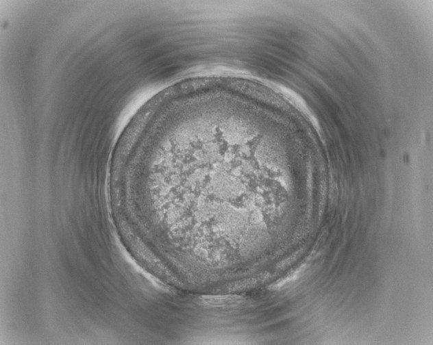 X0000059250863200511041332