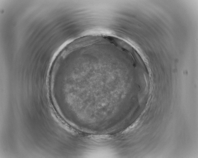 X0000059250864200511041332