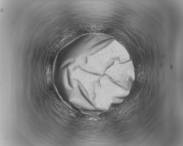 X0000059250866200511041331