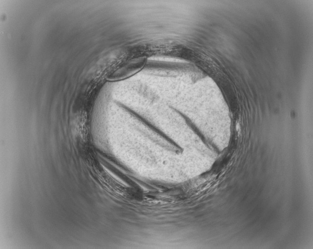 X0000059250867200511041331