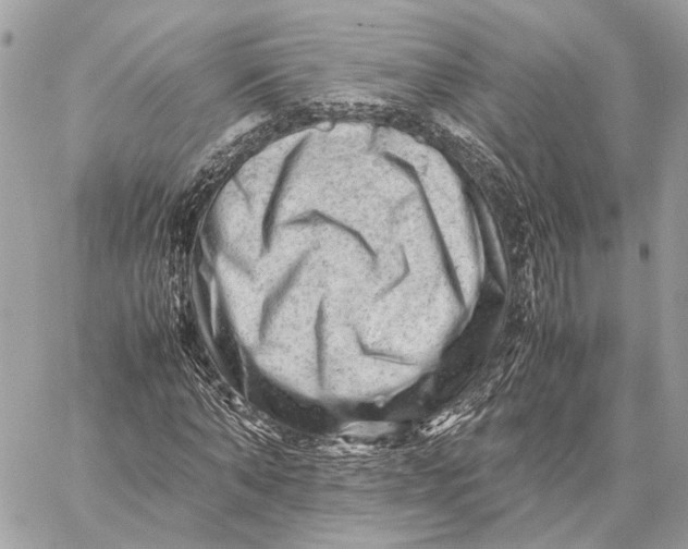 X0000059250870200511041331