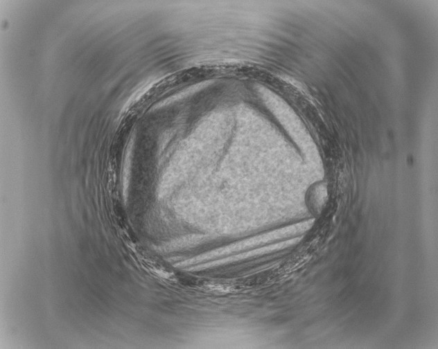 X0000059250871200511041331