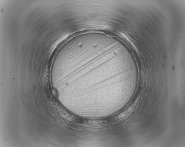 X0000059250875200511041331