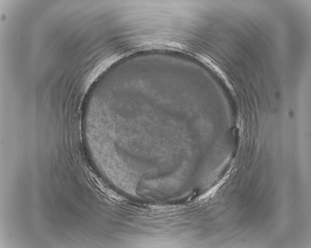 X0000059250877200511041331