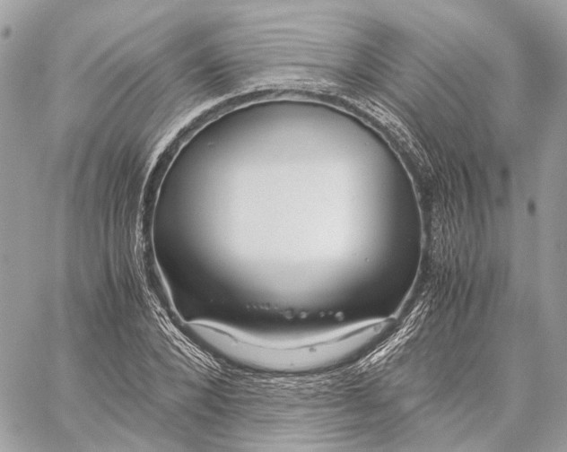 X0000059250880200511041331