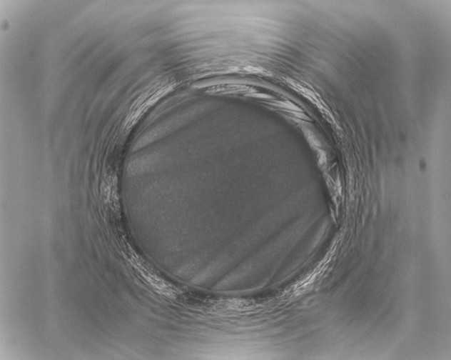 X0000059250881200511041331