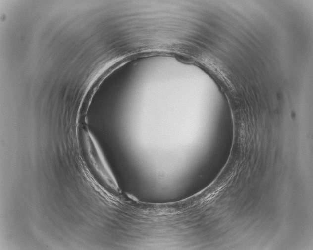 X0000059250884200511041331