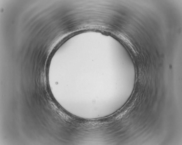 X0000059250888200511041331