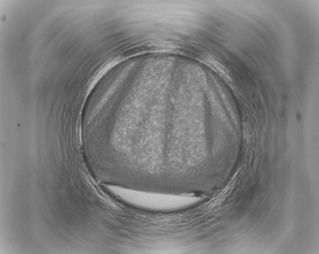 X0000059250891200511041331