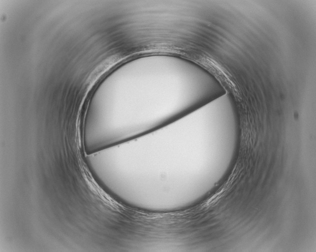 X0000059250892200511041331