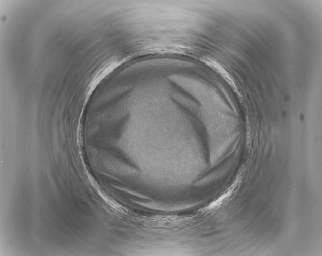 X0000059250893200511041331