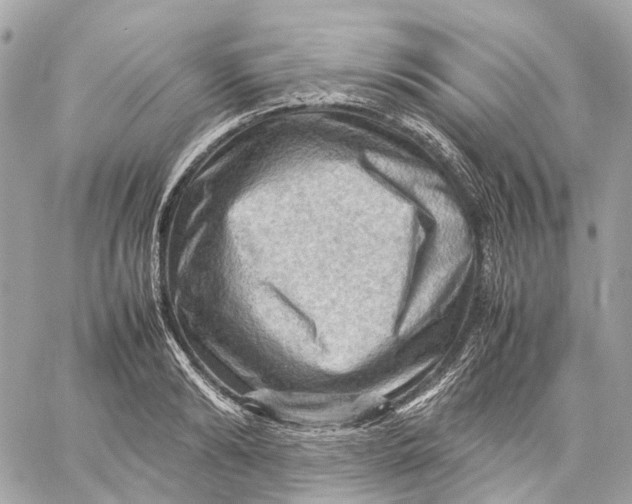 X0000059250894200511041331