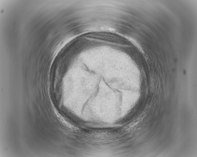 X0000059250895200511041331