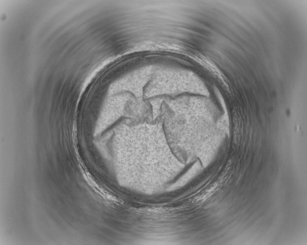 X0000059250896200511041331