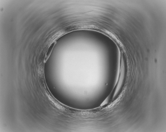 X0000059250897200511041331