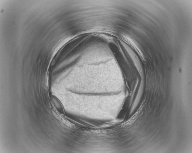 X0000059250900200511041331