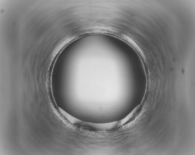 X0000059250901200511041331