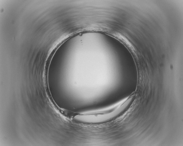 X0000059250902200511041331