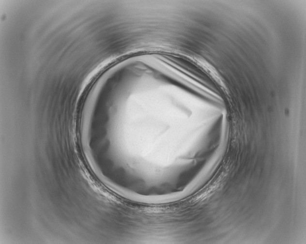 X0000059250904200511041331