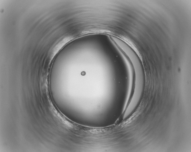 X0000059250906200511041330