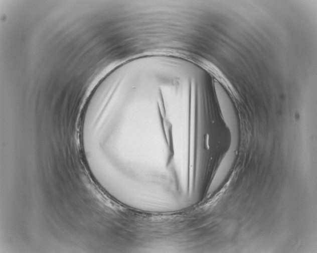 X0000059250908200511041330