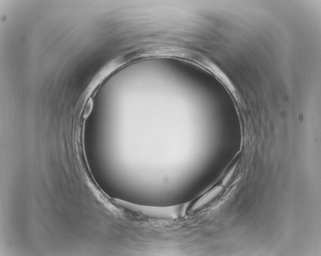 X0000059250909200511041330