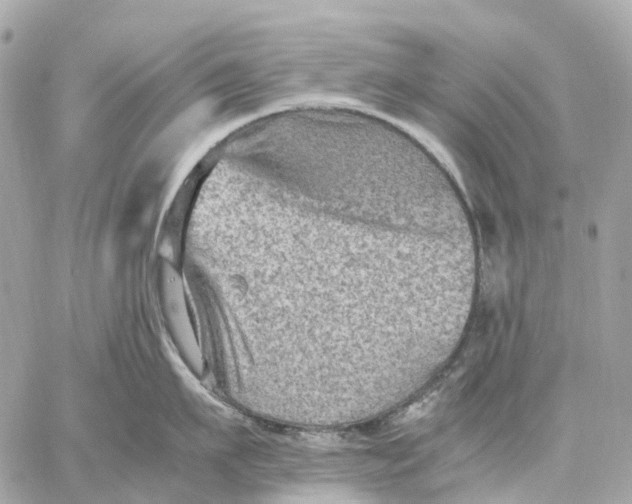 X0000059250911200511041330