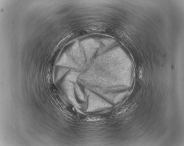 X0000059250915200511041330