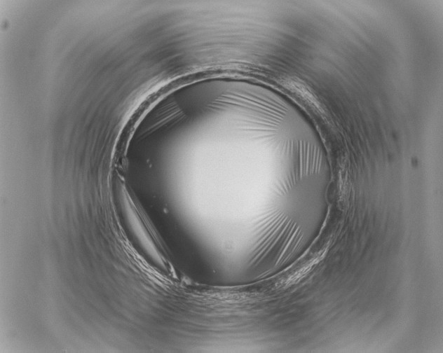 X0000059250924200511041330