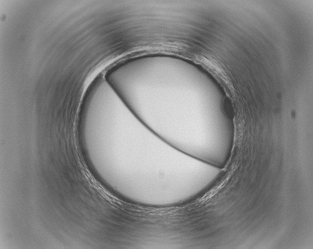 X0000059250928200511041330