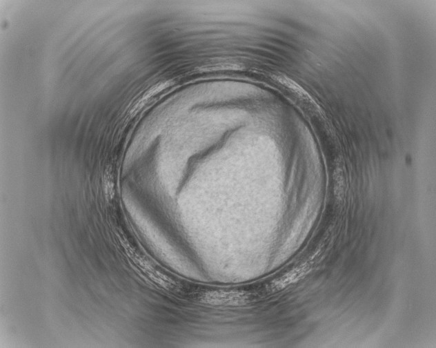 X0000059250929200511041330