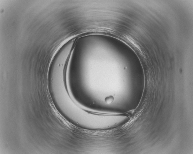 X0000059250940200511041330