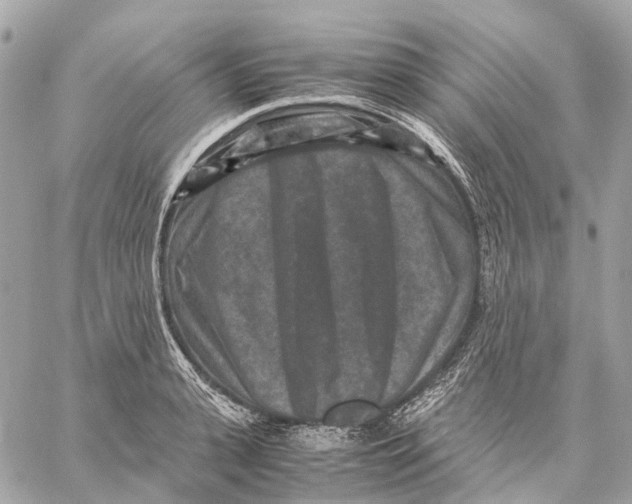 X0000059250943200511041330