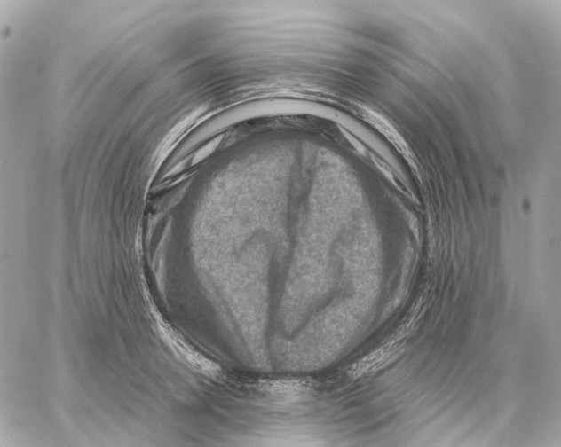 X0000059250946200511041330