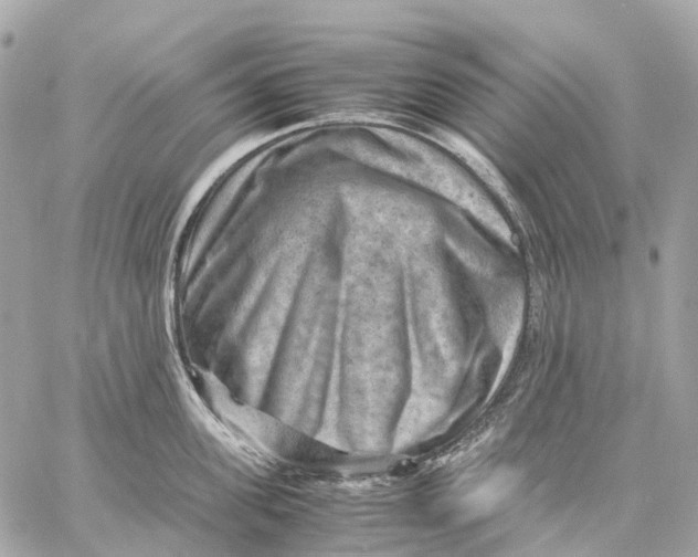 X0000059250955200511041330