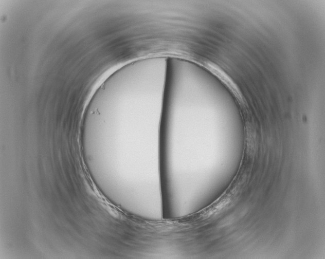 X0000059250956200511041330